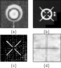 fiducial markers